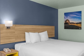 Room, 1 King Bed, Smoking