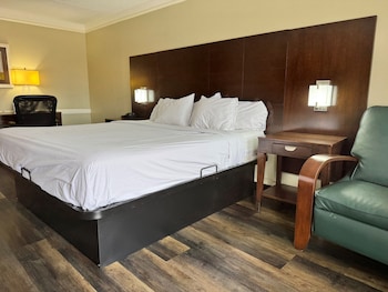 Room, 1 King Bed, Non Smoking
