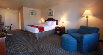 Standard Room, 1 King Bed, Accessible, Non Smoking