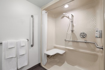 Standard Room, 1 Queen Bed, Roll-in Shower (Mobility Accessible)