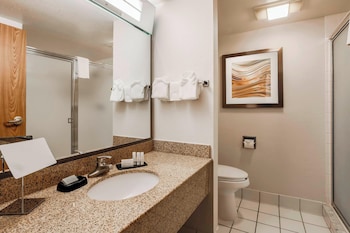 Room, 2 Double Beds, Hearing Accessible (Roll-in Shower)