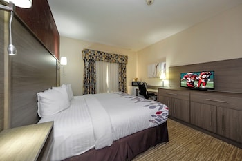 Superior Room, 1 King Bed, Accessible, Non Smoking (Roll-In Shower)