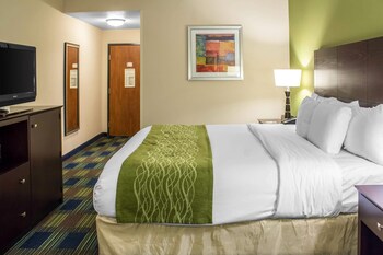 Standard Room, 1 King Bed, Non Smoking