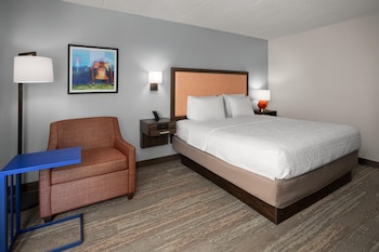 Room, 1 King Bed