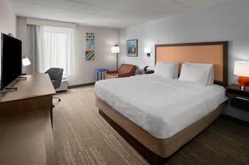 Room, 1 King Bed