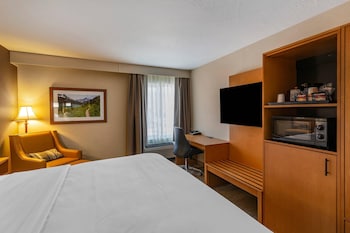 Standard Room, 1 King Bed, Non Smoking