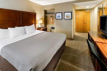Room, 1 King Bed, Accessible Bathtub, Non Smoking
