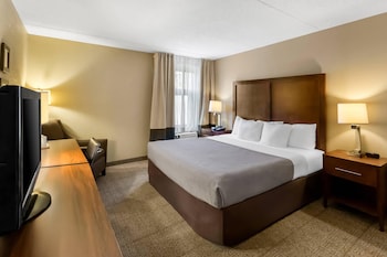 Standard Room, 1 King Bed, Non Smoking