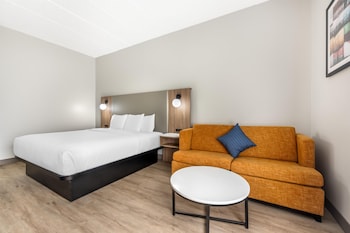 Standard Room, 1 King Bed, Accessible, Non Smoking
