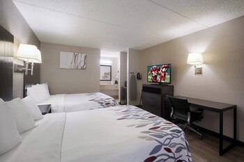 Superior Room, 2 Double Beds, Non Smoking