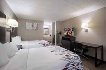 Superior Room, 2 Double Beds, Non Smoking