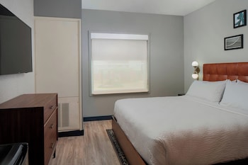 Suite, 1 Bedroom, Transfer Shower