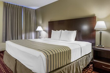 Suite, 1 King Bed with Sofa bed, Non Smoking