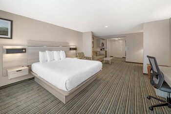 Suite, 1 King Bed, Non Smoking, Refrigerator & Microwave (with Single Sofabed)