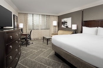 Standard Room, 1 King Bed with Sofa bed