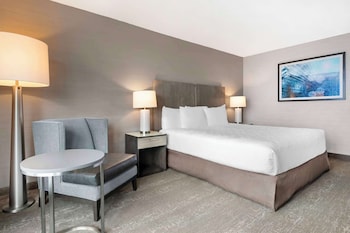 Standard Room, 1 King Bed, Bathtub (Non Pet Friendly)