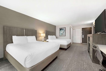 Standard Room, 2 Queen Beds, Accessible, Refrigerator & Microwave (Pet Friendly)
