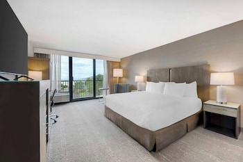 Standard Room, 1 King Bed, Bathtub (Non Pet Friendly)