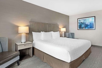 Standard Room, 1 King Bed, Refrigerator & Microwave, Ocean View (Pet Friendly)