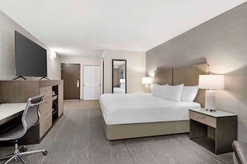 Standard Room, 1 King Bed, Non Smoking, Refrigerator & Microwave (Non Pet Friendly)