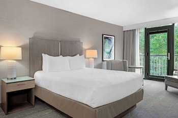 Standard Room, 1 Queen Bed, Bathtub (Non Pet Friendly)