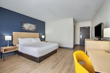 Room, 1 King Bed, Non Smoking (LVT Flooring)