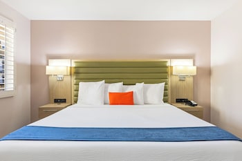 Room, 1 King Bed, Roll-in Shower