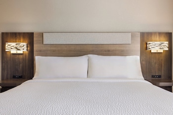 Suite, 1 King Bed