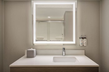 Suite, 1 King Bed