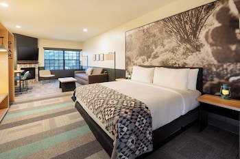 Junior Suite, 1 King Bed, Mobility Accessible, Fireplace (Roll-In Shower)