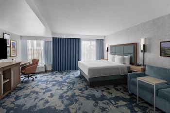 Studio Suite, 1 King Bed with Sofa bed