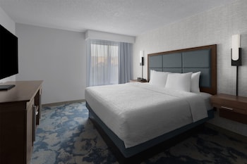 Suite, 1 King Bed with Sofa bed, Microwave