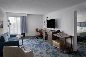 Suite, 1 King Bed with Sofa bed, Microwave