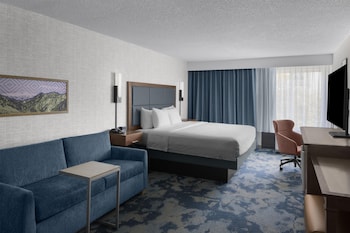 Room, 1 King Bed with Sofa bed (Shower Only)