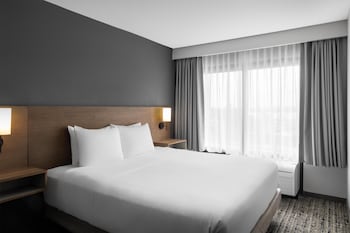 Standard Room, 1 King Bed with Sofa bed