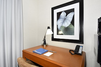 Room, 1 King Bed with Sofa bed