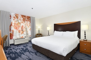 Room, 1 King Bed with Sofa bed