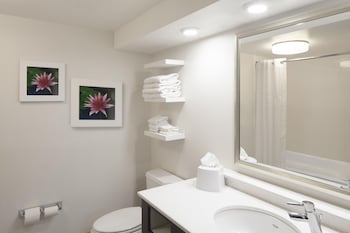 Room, 1 King Bed with Sofa bed, Microwave