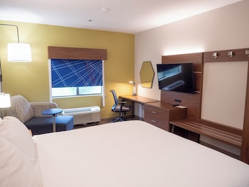 Suite, 1 King Bed with Sofa bed