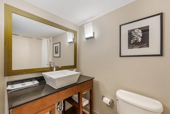Standard Room, 1 King Bed, Non Smoking, Refrigerator & Microwave (with Single Sofabed)