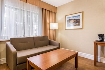 Suite, 1 King Bed with Sofa bed, Non Smoking