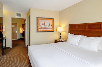 Suite, 1 King Bed, Accessible, Non Smoking