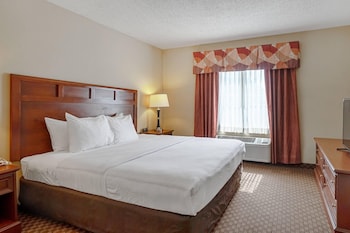Suite, 1 King Bed, Non Smoking
