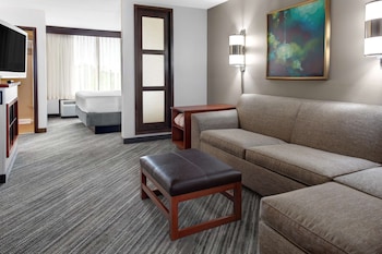 Room, 1 King Bed, Accessible, Bathtub