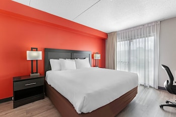 Room, 1 King Bed, Non Smoking