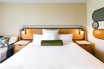 Room, 1 King Bed, Accessible (Rainforest Collection)