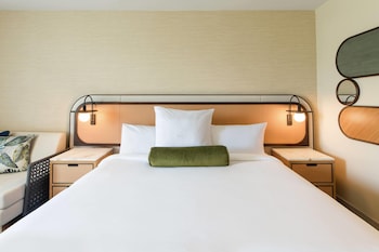 Room (King Rainforest)