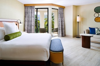 Suite, Accessible (ADA Vista, Roll-In Shower)