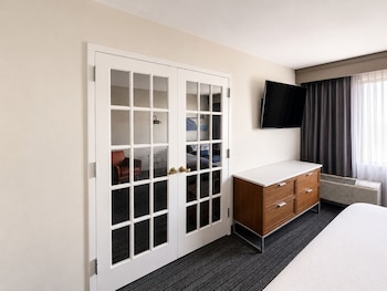Suite, 1 King Bed with Sofa bed