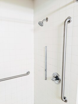 Room, 1 King Bed, Accessible, Non Smoking (Roll-In Shower)